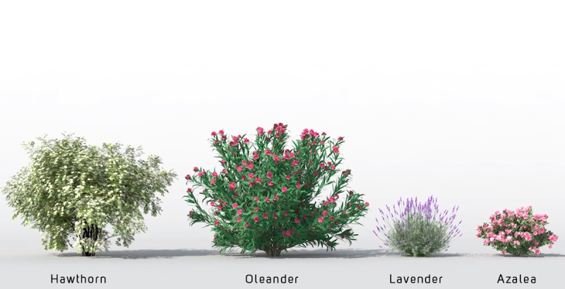 3D Plants - Volume 12